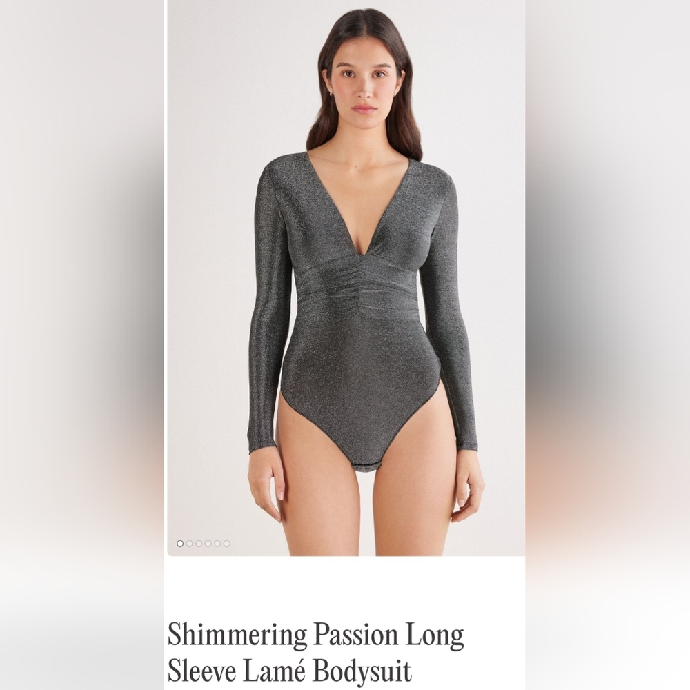 Intimissimi Metallic Gray Long Sleeve Bodysuit